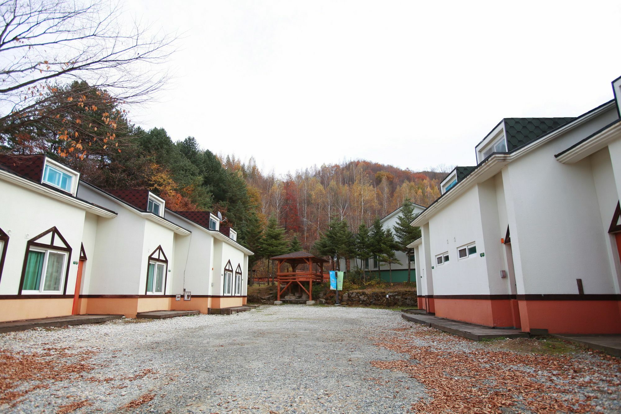 Pyeongchang Iris Pension Экстерьер фото